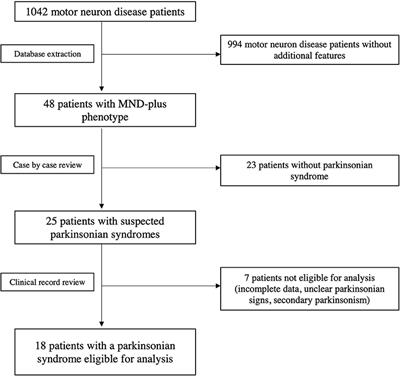 Parkinsonian Syndromes in Motor Neuron Disease: A Clinical Study